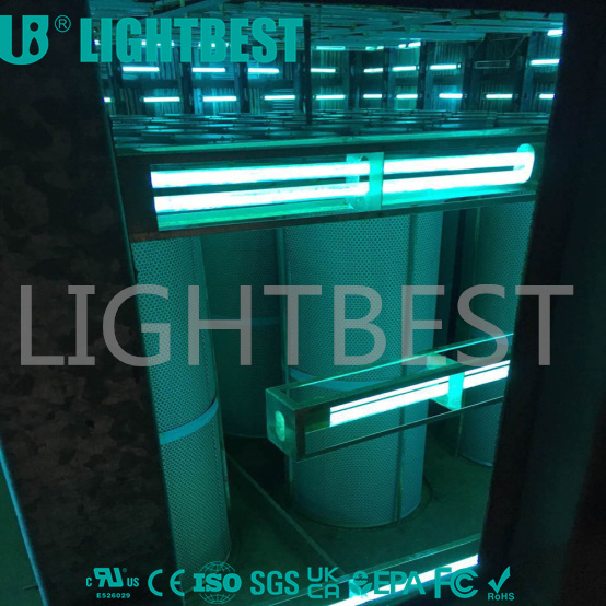 بعد "الثلوج الكثيفة" في التقويم القمري، يمكنك تناول "ثلاثة بياضات" للبقاء بصحة جيدة