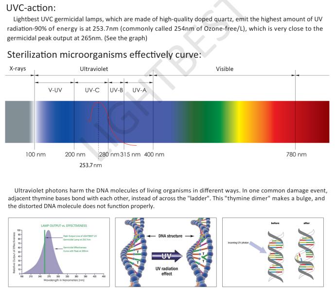 الالتهاب الرئوي الميكوبلازما