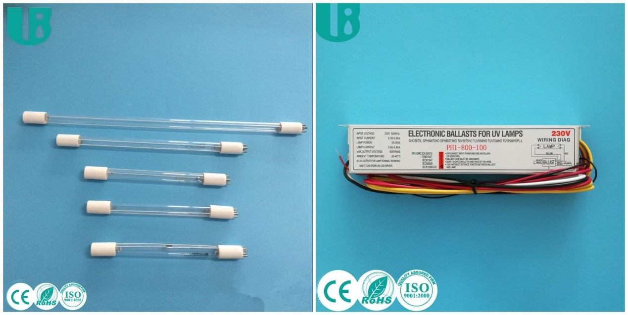 شهادة CE من الاتحاد الأوروبي2