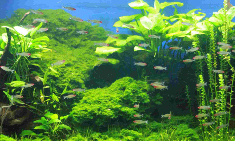 تعميم العلوم2