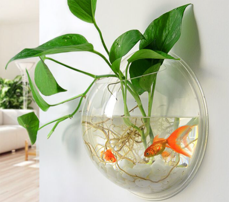 تعميم العلوم3