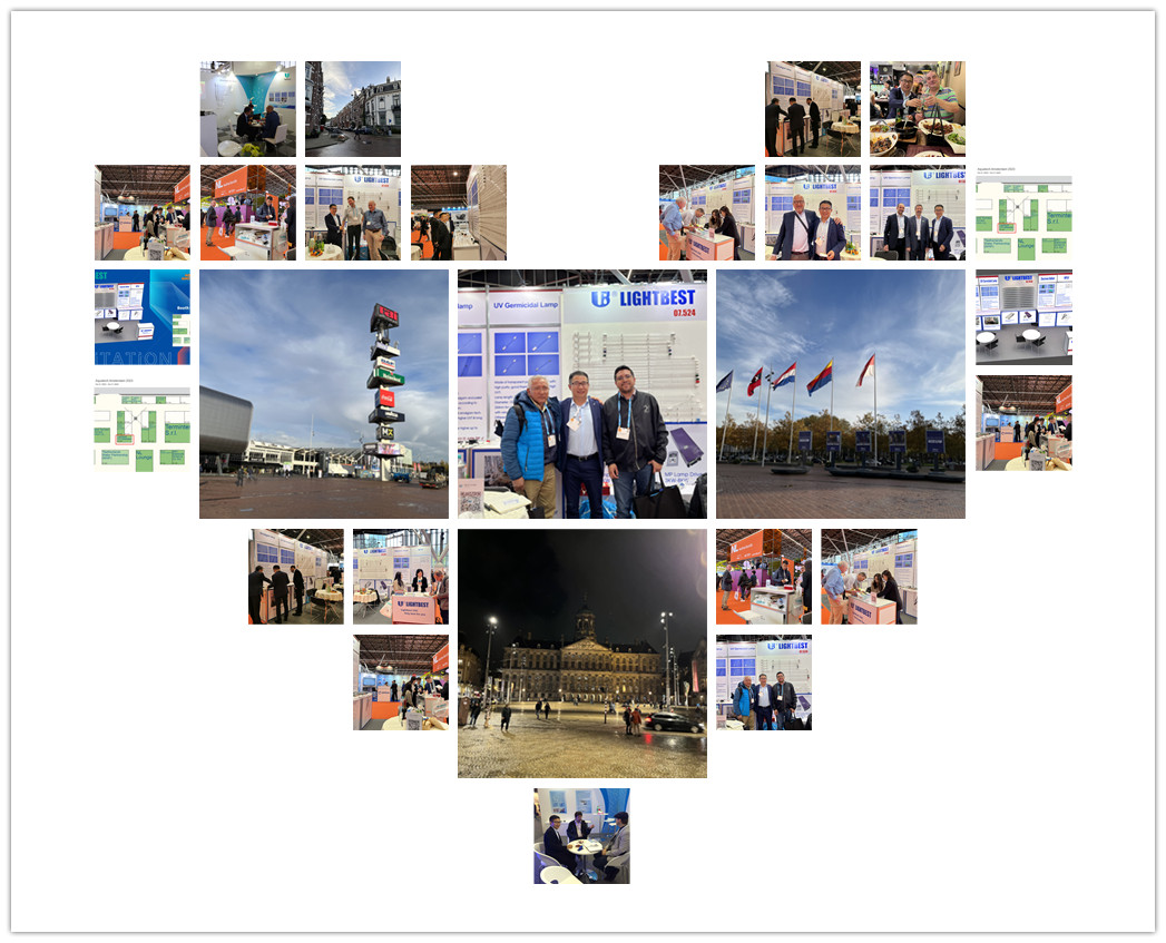 ايه اس دي (7)