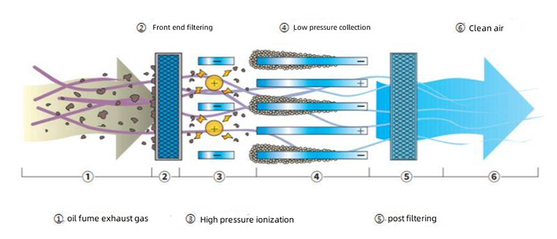 ايه اس دي (4)