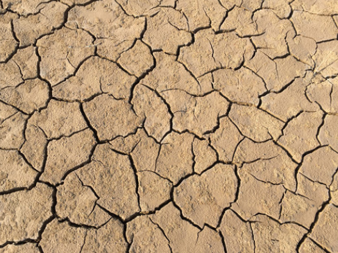 المعرفة بالأشعة فوق البنفسجية التي قد لا تعرفها