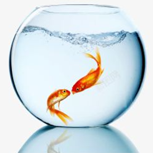 تعميم العلوم – الاستخدام الصحيح لمصباح التعقيم بالأشعة فوق البنفسجية لحوض الأسماك