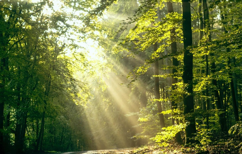 ما هو التحفيز الضوئي بالأشعة فوق البنفسجية؟